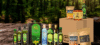 Aliz Foods