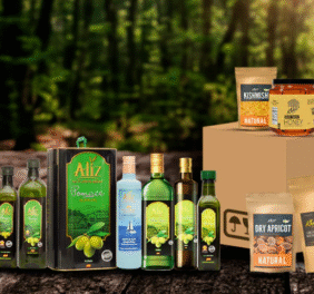 Aliz Foods